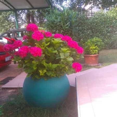 Bauk Apartment Porec
