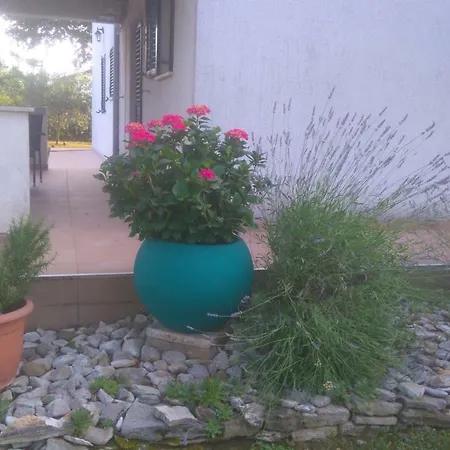 Διαμέρισμα Bauk