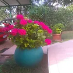 Bauk 아파트 포레치