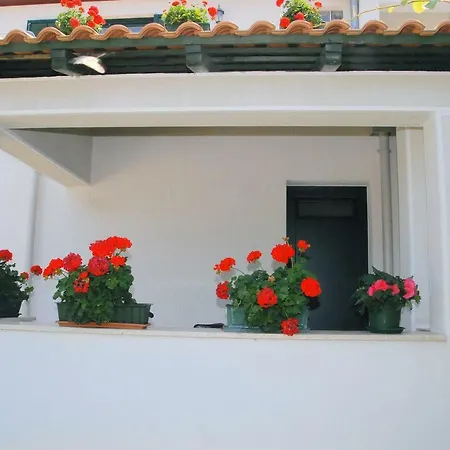 Bauk Apartment